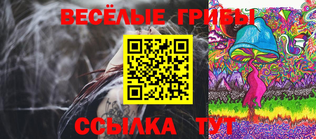 Топки  Псилоцибиновые грибы Magic Shrooms  Галлюциногенные грибы Psilocybine cubensis  Вход с VPN 